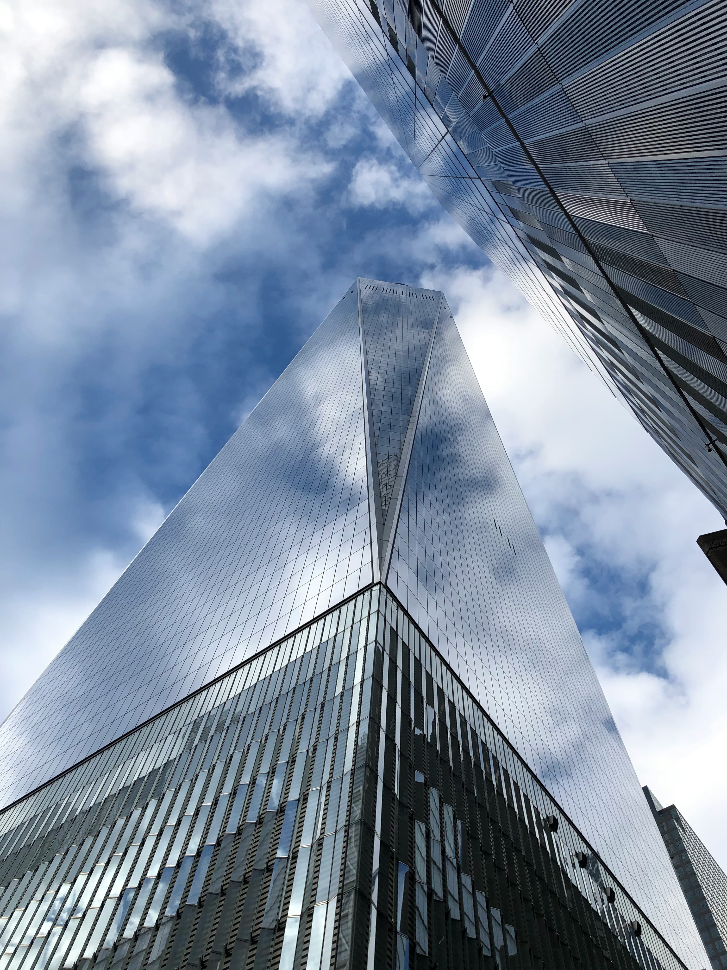 Professional workflow and institutional process